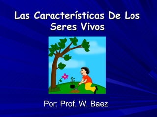 Las Características De Los Seres Vivos Por: Prof. W. Baez 
