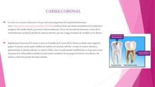 CARIES CORONAL
 La caries es un proceso infeccioso en el que varios microorganismos de la placa dentobacteriana
como Streptococcus mutans y Lactobacillus acidophilus producen ácidos que atacan principalmente el componente
inorgánico del esmalte dental y provocan su desmineralización. De no ser revertido este fenómeno a través de la
remineralización, propicia la pérdida de sustancia dentaria, que trae consigo formación de cavidades en los dientes.
 Regularmente el proceso de la caries se inicia en el esmalte de la corona de los dientes y cuando existe migración
gingival el proceso carioso puede establecerse también en la porción radicular e invadir el cemento dentario y,
posteriormente, la dentina radicular. La caries se define como un padecimiento multifactorial, en el que para iniciar
el proceso de la enfermedad se establece la intervención simultánea de tres grupos de factores: microbianos, del
sustrato y elementos propios del sujeto afectado.
 
