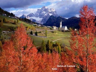 Selva di Cadore - Italia 
