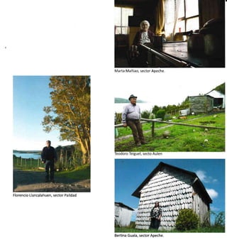 Marta Mañiao, sector Apeche.
Florencio Llancalahuen, sector Paildad
Bertina Guala, sector Apeche.
 