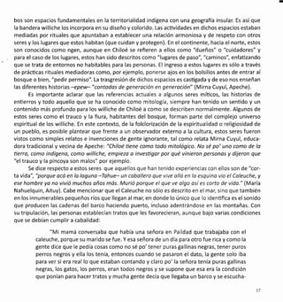 bos son espacios fundamentales en la territorialidad indígena con una geografÍa insular. Es así que
la bandera williche los incorpora en su diseño y colorido. Las actividades en dichos espacios estaban
mediadas por rituales que apuntaban a establecer una relación armoniosa y de respeto con otros
seres y los lugares que estos habitan (que cuidan y protegen). En el continente, hacia el norte, estos
son conocidos como ngen, aunque en Chiloé se refieren a ellos como "dueños" o "cuidadores" y
para el caso de los lugares, estos han sido descritos como "lugares de paso", "caminos", enfaüzando
que se trata de entornos no habitables para las personas. El ingreso a estos lugares es sólo a través
de prácücas rituales mediadoras como, por ejemplo, ponerse ajos en los bolsillos antes de entrar al
bosque o bien, "pedir permiso". La trasgresión de dichos espacios es casügada y de eso nos enseñan
las diferentes historias -epew-"contodos de generación en generoción" (Mirna Cuyul, Apeche).
Es importante aclarar que las referencias actuales a algunos seres míücos, las historias de
enüerros y todo aquello que se ha conocido como mitología, siempre han tenido un sentido y un
contenido más profundo para los williche de Chiloé a como se describen normalmente. Algunos de
estos seres como el trauco y la fiura, habitantes del bosque, forman parte del complejo universo
espiritual de los williche. En este contexto, de la folclorización de la espiritualidad o religiosidad de
un pueblo, es posible plantear que frente a un observador externo a la cultura, estos seres fueron
vistos como simples relatos e invenciones de gente ignorante, tal como relata Mirna Cuyul, educa-
dora tradicional y vecina de Apeche: "Chiloé üene como todo mitológico. No sé po'uno como de lo
tierro, como indígena, como williche, empiezo a investigor por qué vinieron personos y dijeron que
"el trauco y la pincoya son malos" por ejemplo.
Se dice respecto a estos seres que aquellos que han tenido experiencias con ellos son de "cor-
ta vida", "porque ocá en la loguno -Tahue- un cabollero que vive olló en la esquino vio el Coleuche, y
ese hombre ya no vivió muchos oños más Murió porque el que ve algo así es corto de vido." (María
Nahuelquin, Aituy). Cabe mencionar que el Caleuche no sólo es descrito en el mar, sino que también
en los innumerables pequeños ríos que llegan al mar, en donde lo único que lo idenüfica es el sonido
que producen las cadenas del barco haciendo puerto, incluso adentrándose en las montañas. Con
su tripulación, las personas establecían tratos que les favorecieran, aunque bajo varias condiciones
que se debían cumplir a cabalidad:
"Mi mamá conversaba que había una señora en Paildad que trabajaba con el
caleuche, porque su marido se fue. Y esa señora de un día para otro fue rica y como la
gente dice que le pedía cosas como no sé po'tener puras gallinas negras, tener puros
perros negros y ella los tenía, entonces cuando se pasaron el dato, la gente solo iba
para ver si era real lo que estaban contando y claro po' la señora tenía puras gallinas
negras, los gatos, los perros, eran todos negros y se supone que esa era la condición
que ponían para hacertratos y mucha gente decía que llegaba un barco y se escucha-
t7
 