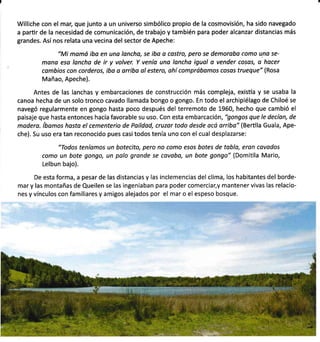 Williche con el mar, que junto a un universo simbólico propio de la cosmovisión, ha sido navegado
a parür de la necesidad de comunicación, de trabajo y también para poder alcanzar distancias más
grandes. Así nos relata una vecina del sector de Apeche:
"Mi momó ibo en una lancha, se ibo o costro, pero se demoraba como u.no se-
mono eso loncha de ir y volver. Y venía uno loncha igual o vender cosos, a hacer
combios con corderos, iba a orriba ol estero, ahí comprábomos cosas trueque" (Rosa
Mañao, Apeche).
Antes de las lanchas y embarcaciones de construcción más compleja, existía y se usaba la
canoa hecha de un solo tronco cavado llamada bongo o gongo. En todo el archipiélago de Chiloé se
navegó regularmente en gongo hasta poco después del terremoto de 1960, hecho que cambió el
paisaje que hasta entonces hacía favorable su uso. Con esta embarcación, "gongos que le decían, de
modero. íbamos hosta el cementerio de Paildad, cruzor todo desde acú orriba" (Berüla Guala, Ape-
che). Su uso era tan reconocido pues casi todos tenía uno con el cual desplazarse:
"Todos teníomos un botecito, pero no como esos botes de toblo, eron covados
como un bote gongo, un polo gronde se covobo, un bote gongo" (Domiüla Mario,
Lelbun bajo).
De esta forma, a pesar de las distancias y las inclemencias del clima, los habitantes del borde-
mar y las montañas de Queilen se las ingeniaban para poder comerciar,y mantener vivas las relacio-
nes y vínculos con familiares y amigos alejados por el mar o el espeso bosque.
 