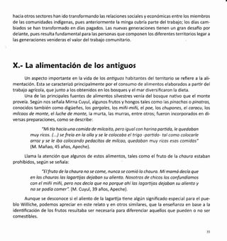 hacia otros sectores han ido transformando las relaciones sociales y económicas entre los miembros
de las comunidades indígenas, pues anteriormente la minga cubría parte del trabajo; los días cam-
biados se han transformado en días pagados. Las nuevas generaciones üenen un gran desaño por
delante, pues resulta fundamental para las personas que componen los diferentes territorios legar a
las generaciones venideras el valor del trabajo comunitario.
X.- La alimentación de los antiguos
Un aspecto importante en la vida de los onüguos habitantes del territorio se refiere a la ali-
mentación. Esta se caracterizó principalmente por el consumo de alimentos elaborados a partir del
trabajo agrícola, que junto a los obtenidos en los bosques y el mar diversificaron la dieta.
Una de las principales fuentes de alimentos silvestres venía del bosque naüvo que el monte
proveía. Según nos señala Mirna Cuyul, algunos frutos y hongos tales como las pinochos o pinotras,
conocidos también como digüeñes, los gorgales,los miñi-miñi, el poe,los chupones, el corocu,los
milcoos de monte, el luche de monte,la murta, las murras, entre otros; fueron incorporados en di-
versas preparaciones, como se describe:
"Mitía hocío uno comido de milcaito, pero iguolcon horina parüda,le quedaban
muy ricos. (...) se freío en la olla y se le colocaba el trigo -partido- tol como colocorle
orroz y se le ibo colocando pedacitos de milcoo, quedoban muy ricas esos comidos"
(M. Mañao,45 años, Apeche).
Llama la atención que algunos de estos alimentos, tales como el fruto de la chauro estaban
prohibidos, según se señala:
"Elfruto de la chouro no se come, nunco se comió lo choura. Mi momá decía que
en las chauros las lagortijas dejoban su aliento. Nosotros de chicos los confundíamos
con el miñi miñi, pero nos decía que no porque ahí las logorüjos dejabon su aliento y
no se podío comer". (M. Cuyul, 39 años, Apeche).
Aunque se desconoce si el aliento de la lagartija üene algún significado especial para el pue-
blo Williche, podemos apreciar en este relato y en otros similares, que la enseñanza en base a la
idenüficación de los frutos resultaba ser necesaria para diferenciar aquellos que pueden o no ser
comesübles.
35
 