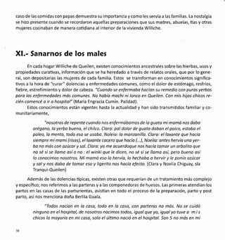 caso de las comidas con papas demuestra su importancia y como les servía a las familias. La nostalgia
se hizo presente cuando se recordaron aquellas preparaciones que sus madres, abuelas, tías y otras
mujeres cocinaban de manera coüdiana al interior de la vivienda Williche.
Xl.- Sanarnos de los males
En cada hogar Williche de Queilen, existen conocimientos ancestrales sobre las hierbas, usos y
propiedades curativas, información que se ha heredado a través de relatos orales, que por lo gene-
ral, son depositarias las mujeres de cada familia. Estos se transforman en conocimientos significa-
üvos a la hora de "curar" dolencias y enfermedades comunes, como el dolor de estómago, resfríos,
fiebre, estreñimiento y dolor de cabeza. "Cuondo se enfermobo hacíon su remedio con puros yerbos
paro los enfermedodes mós comunes. No hobío mochi ni lonco en Queilen. Con mis hijos chicos re-
cién comencé o ir o hospitol" (María Engracia Cumín. Paildad).
Estos conocimientos están vigentes hasta la actualidad y han sido transmiüdos familiar y co-
munitariamente,
"nosotros de repente cuando nos enfermábamos de la guato mi momó nos dabo
orégano, lo yerba bueno, el chilco. Clara: pal dolor de guato dobon el poico, estobo el
poleo, lo menta, todo eso se usobo. Noleia: la manzanilla. Cloro: el loxante que hacía
siempre mi momi (risas), elloxante cocero que hacío (...), Noelio: antes hervía uno yer-
bo no más con ozúcor y sol. Clora: yo me ocuerdoque nos hocía tomor un orbolito que
no sé si se llomo osí o no : el winki que le dicen, no sé si se lloma así, pero bueno así
lo conocimos nosotros. Mi mamó eso lo hervío, lo hechabo o hervir y le ponía azúcor
y sal y nos daba de tomor eso y ligerito nos hacío efecto. (Clara y Noelia Chiguay, sla
Tranqui-Queilen)
Además de las dolencias típicas, existen otras que requerían de un tratamiento más complejo
yespecífico; nos referimosa las parterasya lascomponedoras de huesos. Las primerasatendían los
partos en las casas de las parturientas, asistían en todo el proceso de la preparación, parto y post
parto, así nos menciona doña Berlila Guala.
"Todos nocíon en lo caso, todo en lo coso, con porteros no mós. No se cuidó
ninguno en el hospitol, de nosotros nocimos todos, igual que yo, iguol yo tuve a m i s
chicos lo moyorío en mi coso, solo el último noció en el hospital. Son 5 no más en mi
38
 