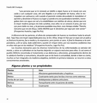 través del trueque.
"uno persono que se le removía un tobillo o olgún hueso se le movía con una
caído o con cualquier coso, ohí uno llegoba o un orreglodor de hueso, ellos lo res-
tregoban con salmuera y ohí cuondo el pociente estabo descuidodo le mandabon el
opretón y devolvíon el hueso a su lugor y cuondo ero uno quebrodura tombién, restre-
gaban bien con oguo con sol y lo entoblilloban con toblitas de alerce, decían que ero
lo mejor modero porque era mós curotivo, esos años no se conocío el yeso, por eso
con puro toblo no mos, y la persona quedoba muy bien, esos üempo estaba "Poncho
Cárcomo que ero de Aituy y doño Meñiña que le decíamos por oquí por este sector"
(Prosperino Hueicha, Lago Pio Pio).
A diferencia de las parteras, el oficio de componedor de huesos se manüene hasta la actuali-
dad, "aquí hay uno mujer copocitada poro eso, lo Sra. Oliva, tengo mi hijo que se coyo con un palo y
se fracturo lo pierna, fue o medico y lo enyesoron, pero jamás se sano. A final lo llevomos o lo com-
ponedora, y ahí se sono, todo soldó bien y quedo sin ningún dolor, por eso nosotros confiomos mas
en ellos más que en los médicos" (Prosperino Huiecha, Lago Pio Pio).
Los insumos necesarios para los diversos tratamientos de las enfermedades se extraían del
monte, y otros se cultivaban en las huertas dejando un espacio exclusivo para ellos. Es así como el
pueblo Williche encontraba el tratamiento a sus dolencias y afecciones, principalmente dentro de
la sabiduría familiar y comunitaria, situación que se da hasta la actualidad, donde si bien es cierto,
muchos se han integrado a la medicina alopáüca, también en primera instancia se recurren a estos
conocimientos ancestrales.
Algunas plantas y sus prop¡edades:
Plantas Usos
Boldo Afecciones gastrointesünales y hepáücas
Matico Cicatrizante tanto para heridas internas como externas.
Hierba de san Juan Anüdepresivo y dolores articulares
Melissa Tranquilizante ante situaciones de estrés.
Ruda Cicatrizante
40
 