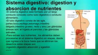-El sistema digestivo está formado por un largo
conducto conocido como tubo digestivo o conducto
alimentario.
-El tubo digestivo consta de las sgts.
partes:boca,esofago,estomago,intestino
delgado,intestino grueso, recto y ano.Las glándulas
anexas son: el hígado,el pancrea y las glándulas
salivales.
-Para extraer sus nutrientes , los alimentos deben
procesarse en el sistema digestivo en etapas, desde
que ingresa a la boca hasta que se eliminan los
desechos estas etapas son
:ingestión,digestión,absorción y egestión
genesis Diaz
Sistema digestivo: digestion y
absorcion de nutrientes
 