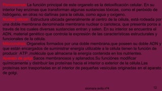 Peroxisomas:La función principal de este organelo es la detoxificación celular. En su
interior hay enzimas que transforman algunas sustancias tóxicas, como el peróxido de
hidrógeno, en otras no dañinas para la célula, como agua y oxígeno.
Núcleo celular :Estructura ubicada generalmente al centro de la célula, está rodeada por
una doble membrana denominada membrana nuclear o carioteca, que presenta poros a
través de los cuales diversas sustancias entran y salen. En su interior se encuentra el
ADN, material genético que controla la expresión de las características estructurales y
funcionales de la célula.
Mitocondrias:Organelos formados por una doble membrana,que poseen su doble ADN y
que están encargados de suministrar energía utilizable a la célula tienen la función de
producir ATP ,molécula que almacena la energía contenida en los nutrientes.
Aparato de golgi:Sacos membranosos y aplanados.Su funciónes modificar
químicamente y distribuir las proteínas hacia el interior o exterior de la célula.Las
proteínas son trasportadas en el interior de pequeñas vesículas originadas en el aparato
de golgi.
12siomara avila nº4
 