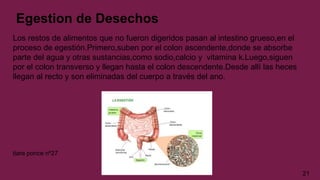 Egestion de Desechos
Los restos de alimentos que no fueron digeridos pasan al intestino grueso,en el
proceso de egestión.Primero,suben por el colon ascendente,donde se absorbe
parte del agua y otras sustancias,como sodio,calcio y vitamina k.Luego,siguen
por el colon transverso y llegan hasta el colon descendente.Desde allí las heces
llegan al recto y son eliminadas del cuerpo a través del ano.
tiare ponce nº27
21
 