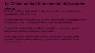 La Célula:unidad fundamental de los seres
vivos
-La teoría celular postula que la célula es la unidad estructural, funcional y
reproductiva de los seres vivos
-Existen organismos formados por una sola, denominadas unicelulares, y otros
formados por miles o millones de células, llamados pluricelulares
-A pesar de la diversidad de las células es posible reconocer dos tipos de
organización celular: procariontes y eucariontes
-En los organismos pluricelulares sus células se encuentran organizadas
formando tejidos órganos y sistemas, lo que favorece la eficiencia de sus
viviana montecinos nº25
3
 