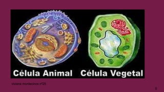 5
viviana montecinos nº25
 