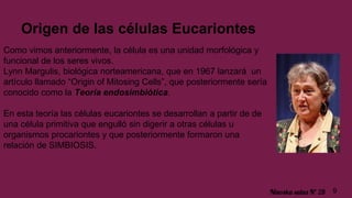 Origen de las células Eucariontes
Como vimos anteriormente, la célula es una unidad morfológica y
funcional de los seres vivos.
Lynn Margulis, biológica norteamericana, que en 1967 lanzará un
artículo llamado “Origin of Mitosing Cells”, que posteriormente sería
conocido como la Teoría endosimbiótica.
En esta teoría las células eucariontes se desarrollan a partir de de
una célula primitiva que engulló sin digerir a otras células u
organismos procariontes y que posteriormente formaron una
relación de SIMBIOSIS.
9Ninoska salas Nº 28
 