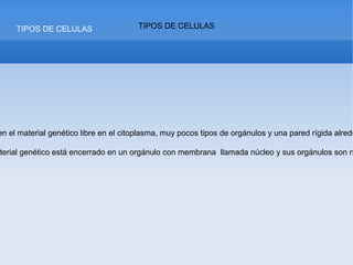TIPOS DE CELULAS TIPOS DE CELULAS
en el material genético libre en el citoplasma, muy pocos tipos de orgánulos y una pared rígida alrede
terial genético está encerrado en un orgánulo con membrana llamada núcleo y sus orgánulos son n
 