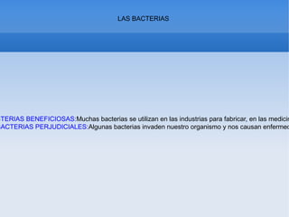 LAS BACTERIAS
CTERIAS BENEFICIOSAS:Muchas bacterias se utilizan en las industrias para fabricar, en las medicin
BACTERIAS PERJUDICIALES:Algunas bacterias invaden nuestro organismo y nos causan enfermed
 