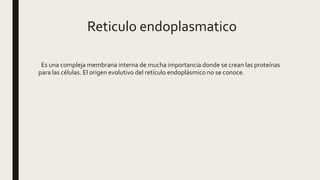 Reticulo endoplasmatico
Es una compleja membrana interna de mucha importancia donde se crean las proteínas
para las células. El origen evolutivo del retículo endoplásmico no se conoce.
 