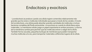 Endocitosis y exocitosis
La endocitosis se produce cuando una célula ingiere contenidos relativamente más
grandes que los iones o moléculas individuales que pasan a través de los canales.A través
de la endocitosis, una célula puede absorber grandes cantidades de moléculas o incluso
bacterias completas del fluido extracelular. La exocitosis es cuando la célula libera estos
materiales. La membrana celular juega un papel importante en ambos procesos. La forma
de la membrana cambia para permitir que las moléculas entren o salgan de la célula.
También forma vacuolas, pequeñas burbujas de membrana que pueden transportar
muchas moléculas a la vez, para transportar materiales a diferentes lugares de la célula.
 