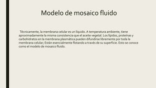 Modelo de mosaico fluido
Técnicamente, la membrana celular es un líquido.A temperatura ambiente, tiene
aproximadamente la misma consistencia que el aceite vegetal. Los lípidos, proteínas y
carbohidratos en la membrana plasmática pueden difundirse libremente por toda la
membrana celular; Están esencialmente flotando a través de su superficie. Esto se conoce
como el modelo de mosaico fluido.
 