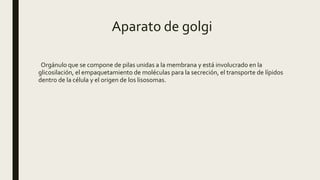 Aparato de golgi
Orgánulo que se compone de pilas unidas a la membrana y está involucrado en la
glicosilación, el empaquetamiento de moléculas para la secreción, el transporte de lípidos
dentro de la célula y el origen de los lisosomas.
 