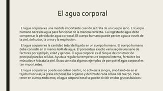 El agua corporal
El agua corporal es una medida importante cuando se trata de un cuerpo sano. El cuerpo
humano necesita agua para funcionar de la manera correcta. La ingesta de agua debe
compensar la pérdida de agua corporal. El cuerpo humano puede perder agua a través de
la piel, del sudor, la orina y la respiración.
El agua corporal es la cantidad total de líquido en un cuerpo humano. El cuerpo humano
debe consistir en al menos 60% de agua. El porcentaje exacto varía según una serie de
factores por ejemplo, edad y género. El agua corporal es el bloque de construcción
principal para las células.Ayuda a regular la temperatura corporal interna, fortalece los
músculos e hidrata la piel. Estos son solo algunos ejemplos de por qué el agua corporal es
tan importantes.
El agua corporal se puede encontrar dentro, no solo en la sangre, sino también en el
tejido muscular, la grasa corporal, los órganos y dentro de cada célula del cuerpo. Para
tener en cuenta todo esto, el agua corporal total se puede dividir en dos grupos básicos:
 
