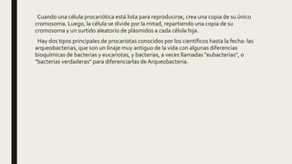 Cuando una célula procariótica está lista para reproducirse, crea una copia de su único
cromosoma. Luego, la célula se divide por la mitad, repartiendo una copia de su
cromosoma y un surtido aleatorio de plásmidos a cada célula hija.
Hay dos tipos principales de procariotas conocidos por los científicos hasta la fecha: las
arqueobacterias, que son un linaje muy antiguo de la vida con algunas diferencias
bioquímicas de bacterias y eucariotas, y bacterias, a veces llamadas "eubacterias", o
"bacterias verdaderas" para diferenciarlas de Arqueobacteria.
 