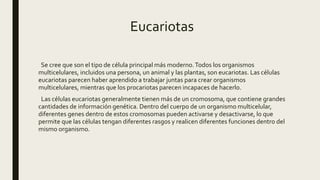 Eucariotas
Se cree que son el tipo de célula principal más moderno.Todos los organismos
multicelulares, incluidos una persona, un animal y las plantas, son eucariotas. Las células
eucariotas parecen haber aprendido a trabajar juntas para crear organismos
multicelulares, mientras que los procariotas parecen incapaces de hacerlo.
Las células eucariotas generalmente tienen más de un cromosoma, que contiene grandes
cantidades de información genética. Dentro del cuerpo de un organismo multicelular,
diferentes genes dentro de estos cromosomas pueden activarse y desactivarse, lo que
permite que las células tengan diferentes rasgos y realicen diferentes funciones dentro del
mismo organismo.
 