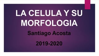 LA CELULA Y SU
MORFOLOGIA
Santiago Acosta
2019-2020
 