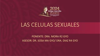 LAS CELULAS SEXUALES
PONENTE: DRA. MORA R2 GYO
ASESOR: DR. SOSA MA GYO/ DRA. DIAZ R4 GYO
 