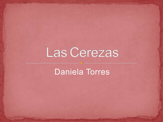 Daniela Torres LasCerezas 