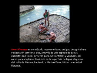Una chinampa es un método mesoamericano antiguo de agricultura
y expansión territorial que, a través de una especie de balsas
cubiertas con tierra, sirvieron para cultivar flores y verduras, así
como para ampliar el territorio en la superficie de lagos y lagunas
del valle de México; haciendo a México-Tenochtitlan una ciudad
flotante.