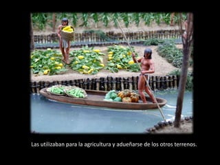 Las utilizaban para la agricultura y adueñarse de los otros terrenos.