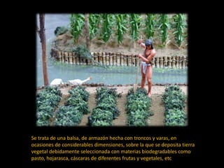 Se trata de una balsa, de armazón hecha con troncos y varas, en
ocasiones de considerables dimensiones, sobre la que se deposita tierra
vegetal debidamente seleccionada con materias biodegradables como
pasto, hojarasca, cáscaras de diferentes frutas y vegetales, etc