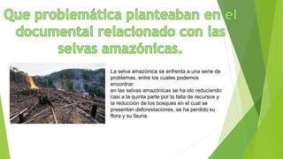 La selva amazónica se enfrenta a una serie de
problemas, entre los cuales podemos
encontrar:
en las selvas amazónicas se ha ido reduciendo
casi a la quinta parte por la falta de recursos y
la reducción de los bosques en el cual se
presentan deforestaciones, se ha perdido su
flora y su fauna.
 