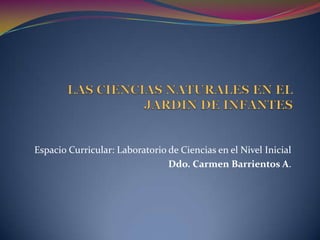 Espacio Curricular: Laboratorio de Ciencias en el Nivel Inicial
                                Ddo. Carmen Barrientos A.
 