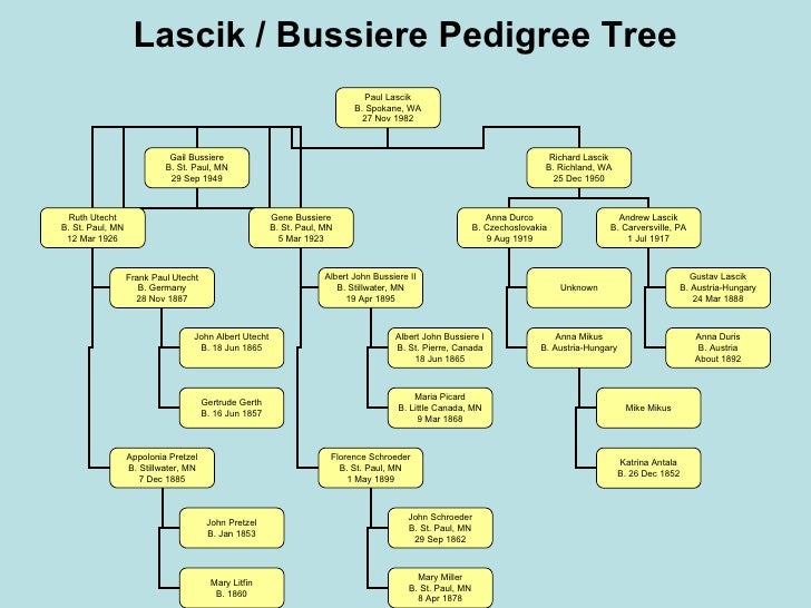 family tree pedigree project