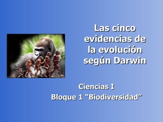 Las cinco
        evidencias de
         la evolución
        según Darwin

       Ciencias I
Bloque 1 “Biodiversidad”
 