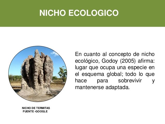 Las cinco unidades básicas de la ecología
