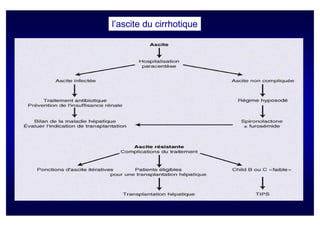 l’ascite du cirrhotique
 