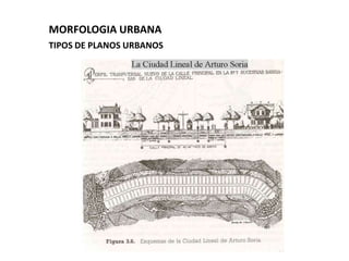 MORFOLOGIA URBANA
TIPOS DE PLANOS URBANOS
 