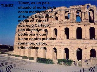 Túnez, es un país situado al norte de la costa mediterránea africana. En la edad media en Túnez apareció Cartago una ciudad muy poderosa y que lucho contra pueblos romanos, galos, tribus libias etc. TUNEZ 