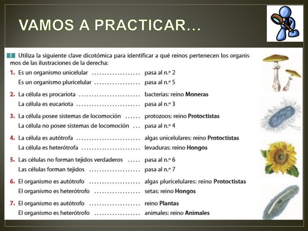 Las claves dicotómicas