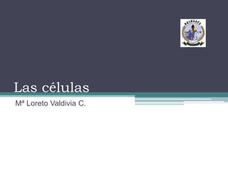 Las células Mª Loreto Valdivia C. 