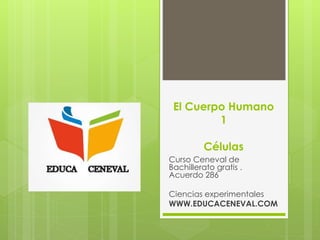 El Cuerpo Humano
1
Células
Curso Ceneval de
Bachillerato gratis .
Acuerdo 286
Ciencias experimentales
WWW.EDUCACENEVAL.COM
 