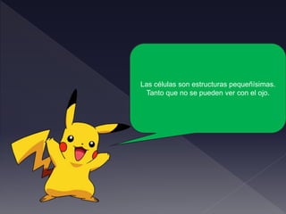 Las células son estructuras pequeñísimas.
Tanto que no se pueden ver con el ojo.
