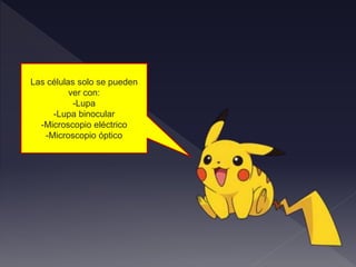 Las células solo se pueden
ver con:
-Lupa
-Lupa binocular
-Microscopio eléctrico
-Microscopio óptico