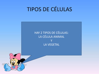 TIPOS DE CÉLULAS
HAY 2 TIPOS DE CÉLULAS:
LA CÉLULA ANIMAL
Y
LA VEGETAL
 