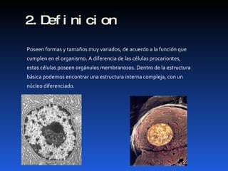 2.Definicion Poseen formas y tamaños muy variados, de acuerdo a la función que  cumplen en el organismo. A diferencia de las células procariontes, estas células poseen orgánulos membranosos. Dentro de la estructura básica podemos encontrar una estructura interna compleja, con un núcleo diferenciado. 