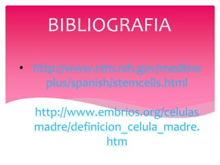 BIBLIOGRAFIA

• http://www.nlm.nih.gov/medline
     plus/spanish/stemcells.html

  http://www.embrios.org/celulas
  madre/definicion_celula_madre.
               htm
 