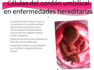 Células del cordón umbilical
en enfermedades hereditarias
                                         1
  Las células madre troncales que se
  encuentran en el cordónumbilical
  representan una fuente rica en
  células madre hematopoyéticas
  precursoras de cualquier especie
  celular sanguínea,
  desde los leucocitos que combaten la
  infección, los hematíes que
  transportan oxígeno y las plaquetas
  que facilitan la coagulación de la
  sangre.
 