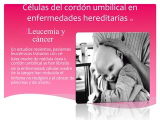Células del cordón umbilical en
      enfermedades hereditarias     1/2



    Leucemia y
      cáncer
En estudios recientes, pacientes
leucémicos tratados con cé-
lulas madre de médula ósea y
cordón umbilical se han librado
de la enfermedad; células madre
de la sangre han reducido el
linfoma no Hodgkin y el cáncer de
páncreas y de ovario.
 