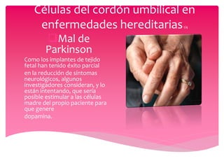Células del cordón umbilical en
    enfermedades hereditarias     1/4


       Mal de
       Parkinson
Como los implantes de tejido
fetal han tenido éxito parcial
en la reducción de síntomas
neurológicos, algunos
investigadores consideran, y lo
están intentando, que sería
posible estimular a las células
madre del propio paciente para
que genere
dopamina.
 