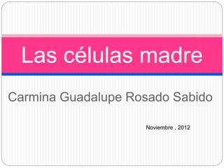 Las células madre
Carmina Guadalupe Rosado Sabido

                    Noviembre , 2012
 